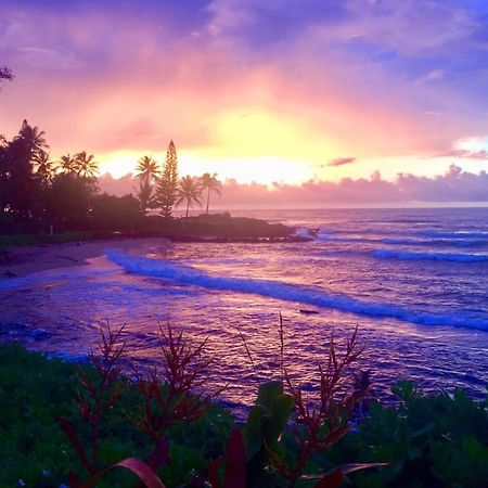 Lanikai Condos カパア エクステリア 写真